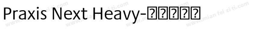 Praxis Next Heavy字体转换